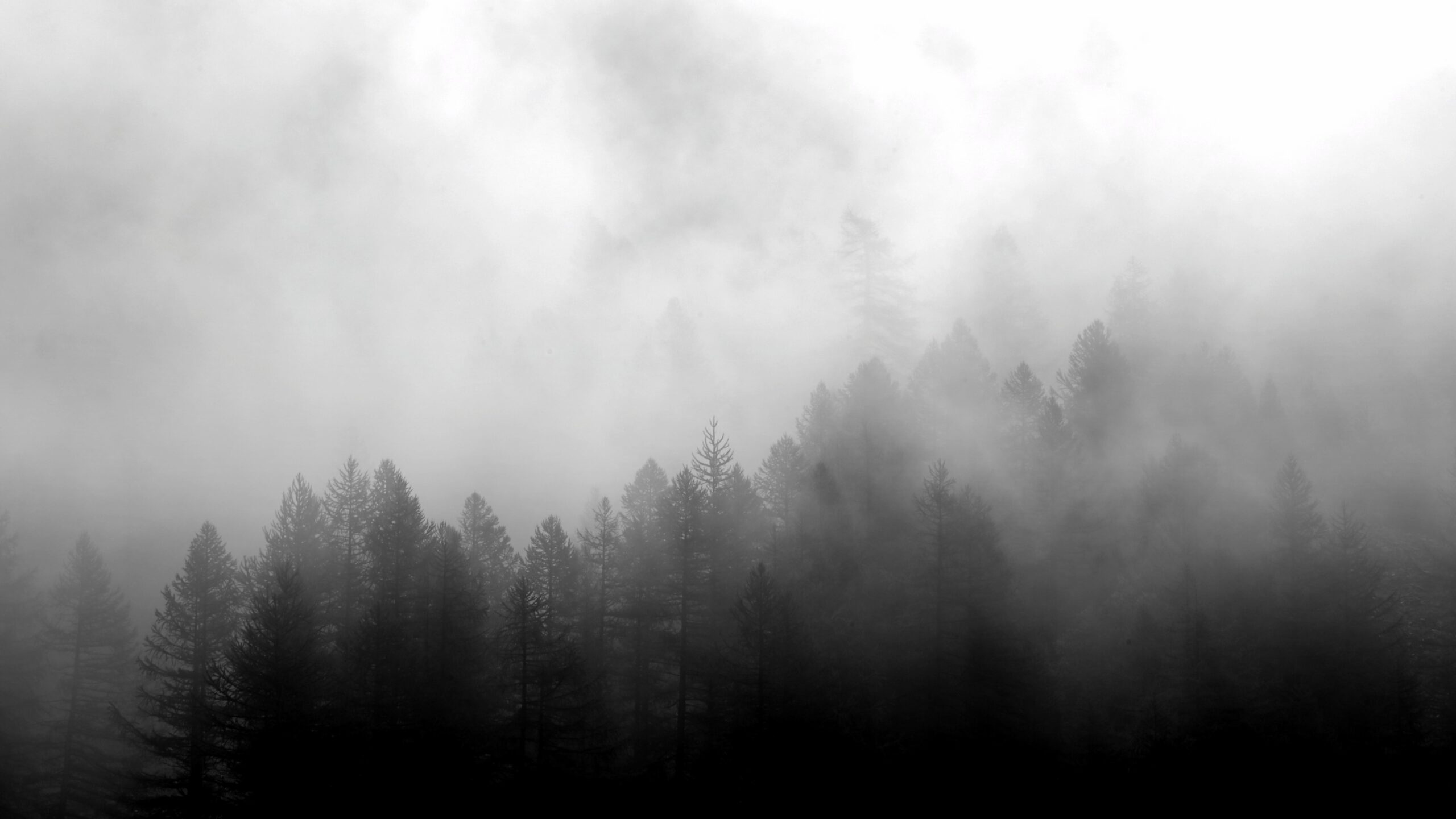In the silence,
