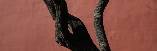 Open Theme photography